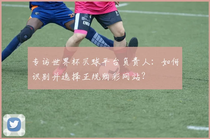 专访世界杯买球平台负责人：如何识别并选择正规购彩网站？