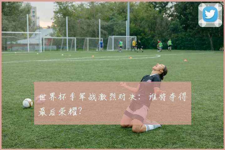 世界杯季军战激烈对决：谁将夺得最后荣耀？