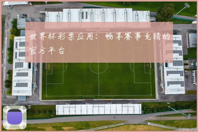 世界杯彩票应用：畅享赛事竞猜的官方平台